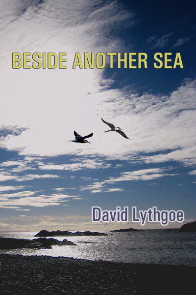 https://bhpbridgertowncafebookshop.myshopify.com/products/because-sometimes-something-extraordinary-happens-1