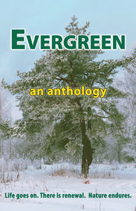Evergreen